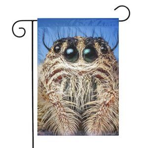 SKU-14-Wildlife Spider